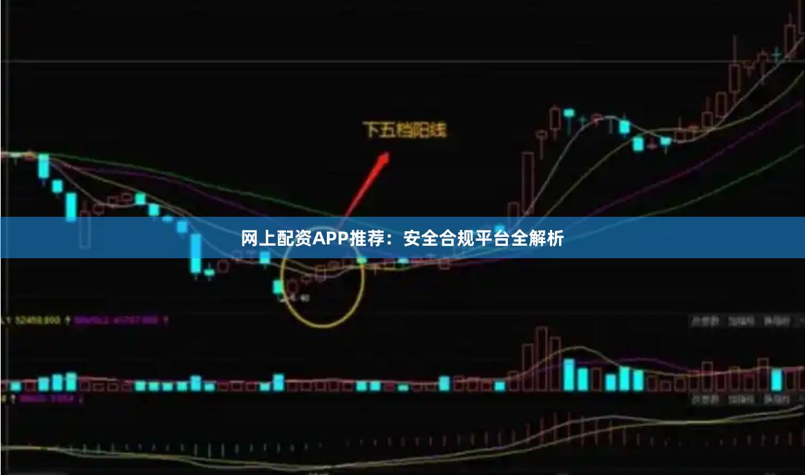 网上配资APP推荐：安全合规平台全解析